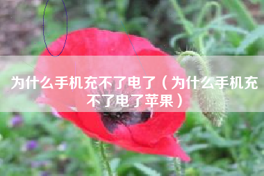 为什么手机充不了电了（为什么手机充不了电了苹果）