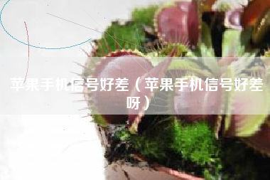 苹果手机信号好差（苹果手机信号好差呀）