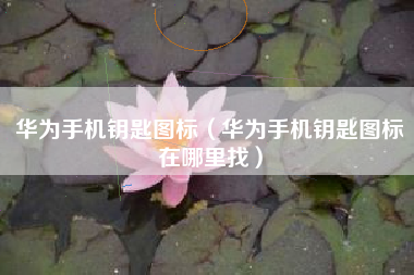华为手机钥匙图标（华为手机钥匙图标在哪里找）