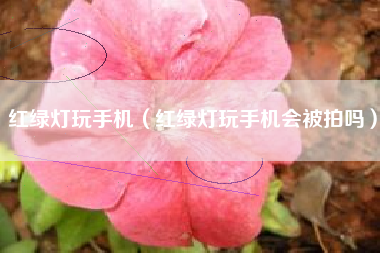 红绿灯玩手机（红绿灯玩手机会被拍吗）