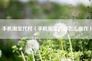 手机淘宝代付（手机淘宝代付怎么操作）