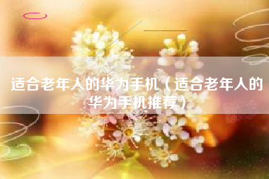 适合老年人的华为手机（适合老年人的华为手机推荐）