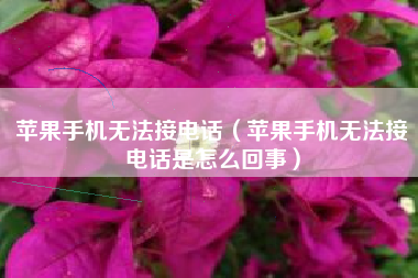 苹果手机无法接电话（苹果手机无法接电话是怎么回事）