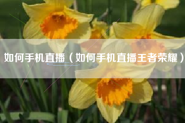 如何手机直播（如何手机直播王者荣耀）
