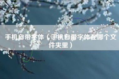 手机自带字体（手机自带字体在哪个文件夹里）