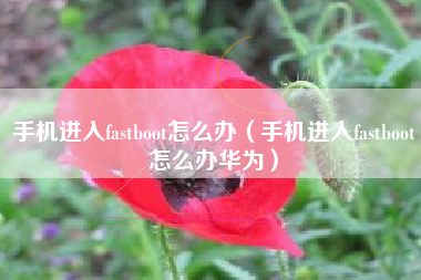 手机进入fastboot怎么办（手机进入fastboot怎么办华为）