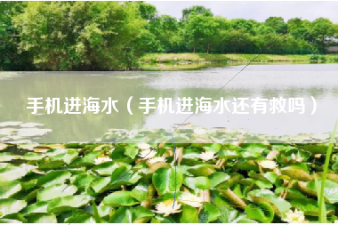 手机进海水（手机进海水还有救吗）