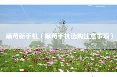黑莓新手机（黑莓手机选购注意事项）