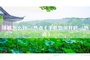 手机怎么开wifi热点（手机如何开启wifi热点）