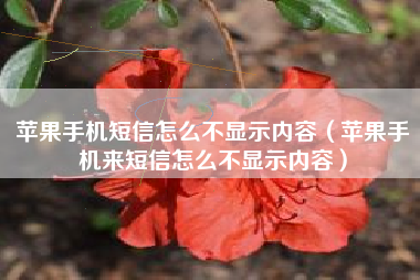 苹果手机短信怎么不显示内容（苹果手机来短信怎么不显示内容）