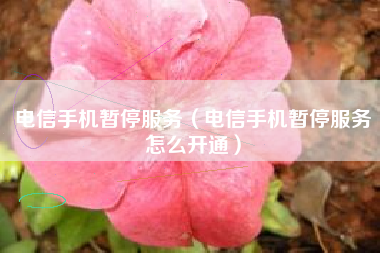 电信手机暂停服务（电信手机暂停服务怎么开通）