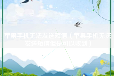 苹果手机无法发送短信（苹果手机无法发送短信但是可以收到）