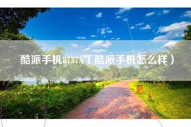 酷派手机8737A（酷派手机怎么样）
