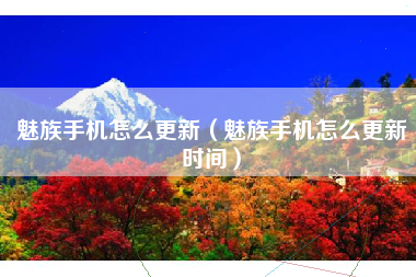 魅族手机怎么更新（魅族手机怎么更新时间）