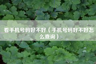 看手机号码好不好（手机号码好不好怎么查询）