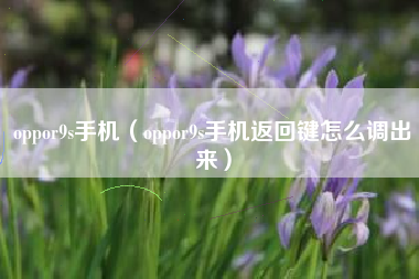 oppor9s手机（oppor9s手机返回键怎么调出来）