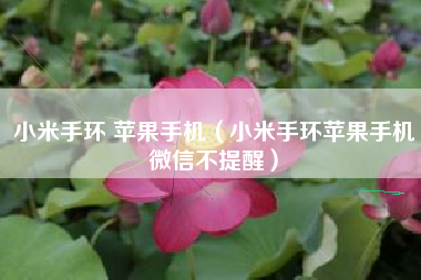 小米手环 苹果手机（小米手环苹果手机微信不提醒）