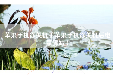苹果手机冻关机（苹果手机冻关机后电量骤减）