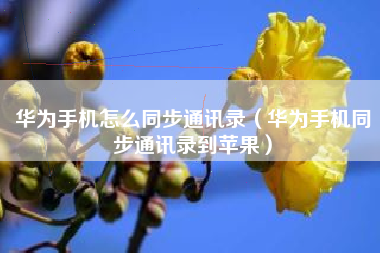 华为手机怎么同步通讯录（华为手机同步通讯录到苹果）