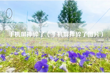 手机屏摔碎了（手机屏摔碎了图片）