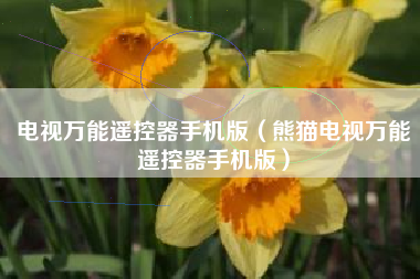 电视万能遥控器手机版（熊猫电视万能遥控器手机版）