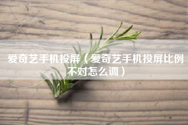 爱奇艺手机投屏（爱奇艺手机投屏比例不对怎么调）