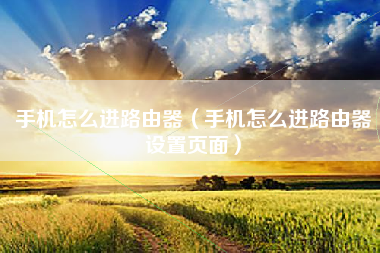 手机怎么进路由器（手机怎么进路由器设置页面）