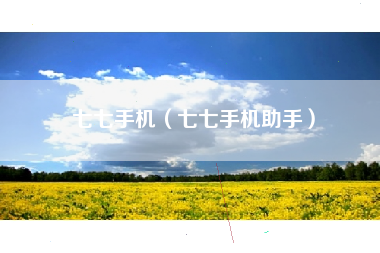 七七手机（七七手机助手）