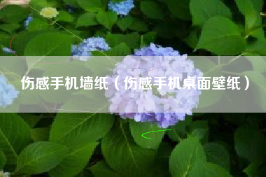 伤感手机墙纸（伤感手机桌面壁纸）