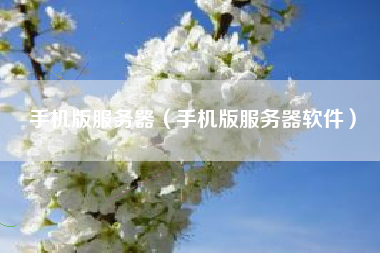 手机版服务器（手机版服务器软件）
