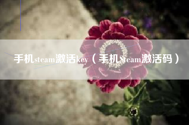 手机steam激活key（手机Steam激活码）