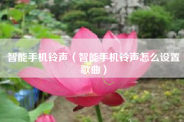 智能手机铃声（智能手机铃声怎么设置歌曲）