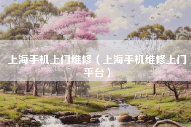 上海手机上门维修（上海手机维修上门平台）