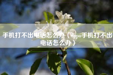 手机打不出电话怎么办（oppo手机打不出电话怎么办）