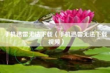 手机迅雷无法下载（手机迅雷无法下载视频）