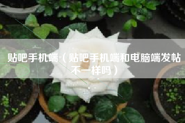 贴吧手机端（贴吧手机端和电脑端发帖不一样吗）