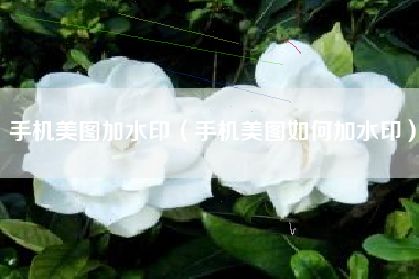 手机美图加水印（手机美图如何加水印）