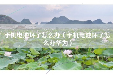 手机电池坏了怎么办（手机电池坏了怎么办华为）