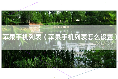 苹果手机列表（苹果手机列表怎么设置）