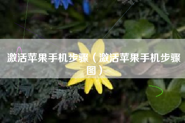 激活苹果手机步骤（激活苹果手机步骤图）