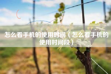 怎么看手机的使用时间（怎么看手机的使用时间段）