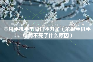苹果手机手电筒打不开了（苹果手机手电筒不亮了什么原因）