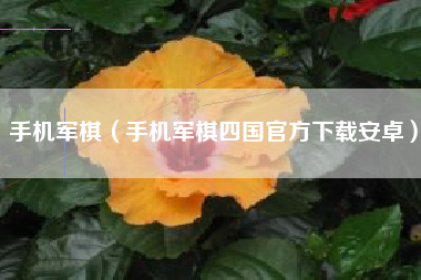 手机军棋（手机军棋四国官方下载安卓）