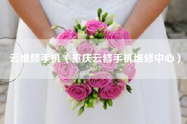 云维修手机（重庆云修手机维修中心）
