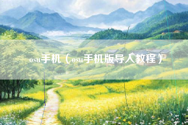 osu手机（osu手机版导入教程）