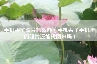 手机丢了照片怎么办（手机丢了手机上的照片还能找回来吗）