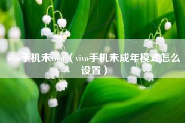 vivo手机未root（vivo手机未成年模式怎么设置）