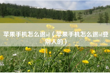 苹果手机怎么退id（苹果手机怎么退id登别人的）