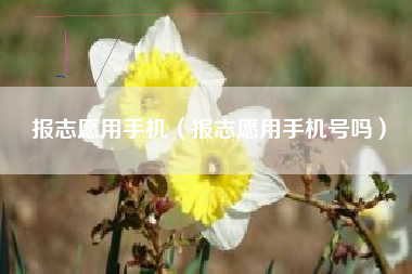 报志愿用手机（报志愿用手机号吗）