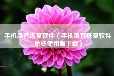 手机录音恢复软件（手机录音恢复软件免费使用版下载）